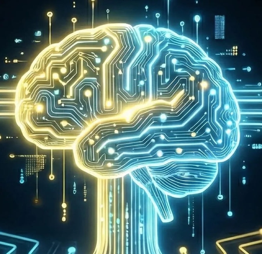 Neural circuit brain